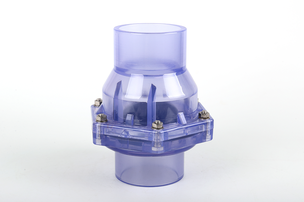 宋洛乡透明翻板式止回阀